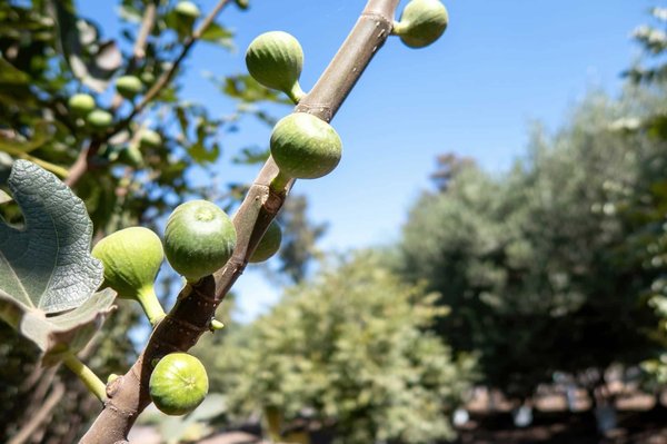 Cómo hacer crecer tu negocio que no debes perderte este año