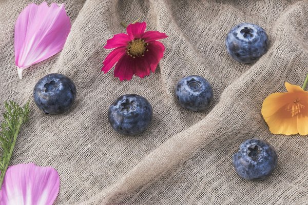 El impacto de la dieta en la salud en 2024 y más allá